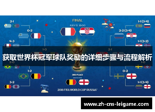 获取世界杯冠军球队奖励的详细步骤与流程解析