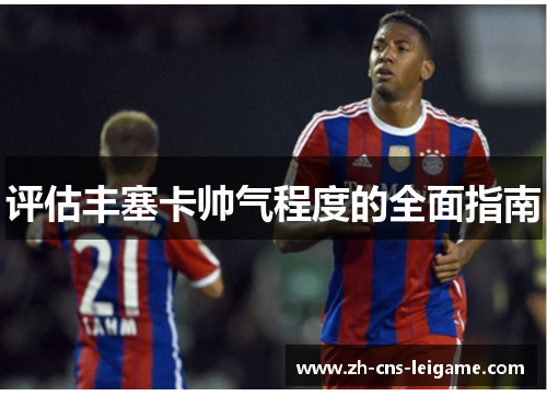 评估丰塞卡帅气程度的全面指南