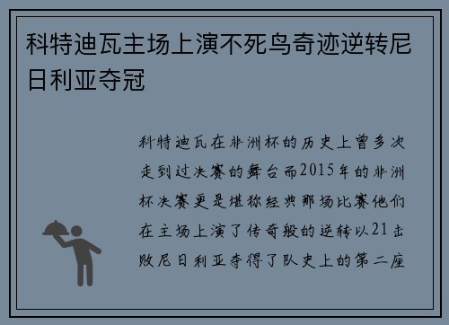 科特迪瓦主场上演不死鸟奇迹逆转尼日利亚夺冠